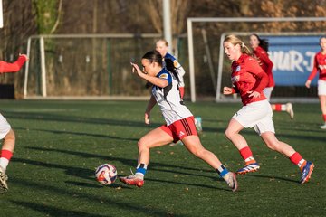 Bild 141 - wBJ Hamburger SV - Holstein Kiel : Ergebnis: 8:0